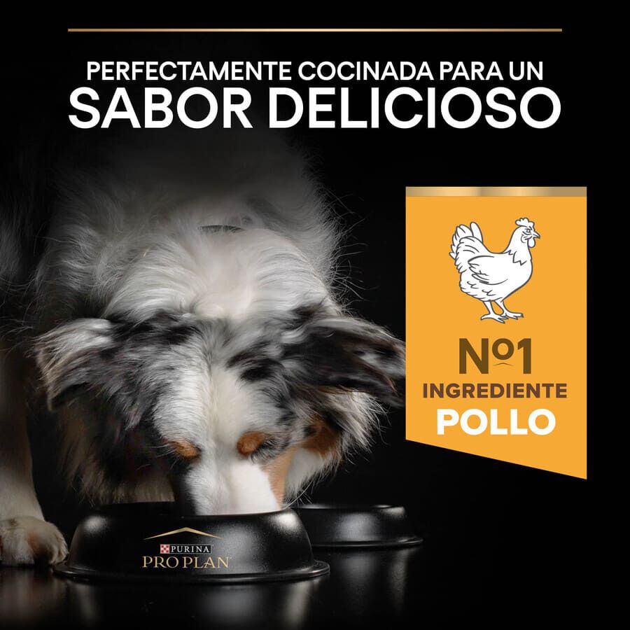 Pro Plan Medium Adult Duo D&eacute;lice Pollo pienso para perros Imagen numero 7